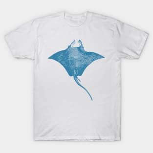 Stingray | Oceanography Sea Animal Marine Life T-Shirt